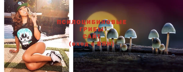 дурь Михайлов