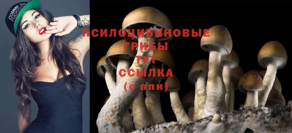 индика Михайловка