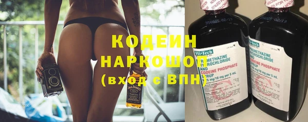 индика Михайловка