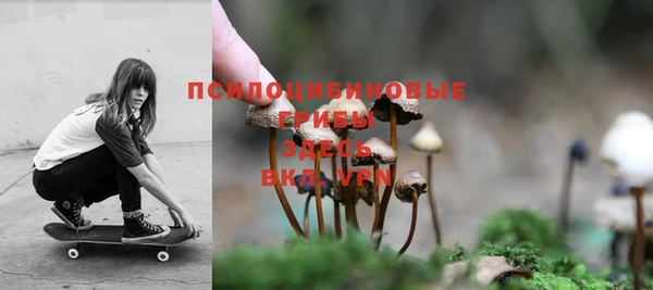индика Михайловка