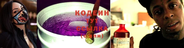 индика Михайловка