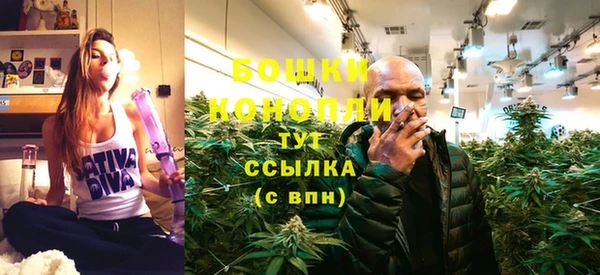 индика Михайловка