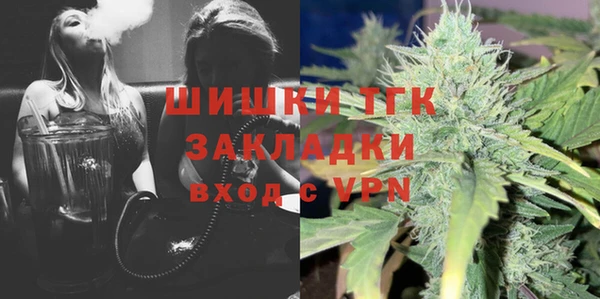 индика Михайловка