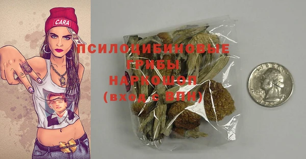 индика Михайловка