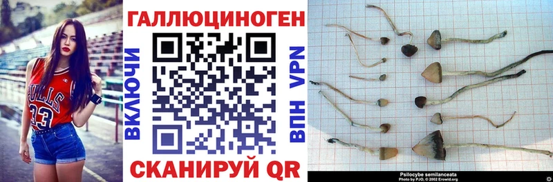 блэк спрут зеркало  Южноуральск  Галлюциногенные грибы мухоморы  наркота 